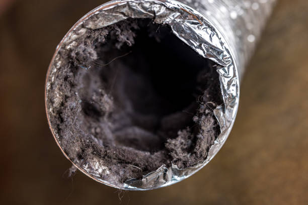 Best Residential Air Duct Cleaning  in Covington, KY